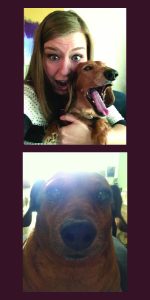 About An image of my two dachshunds, Sophie and Trixie.